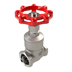 40SSTH Gate Valve